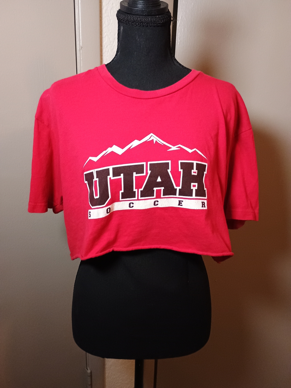 Next Level Graphic Crop Top in Red Large Like New